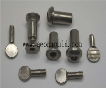 Plastic expansion screw mould 1